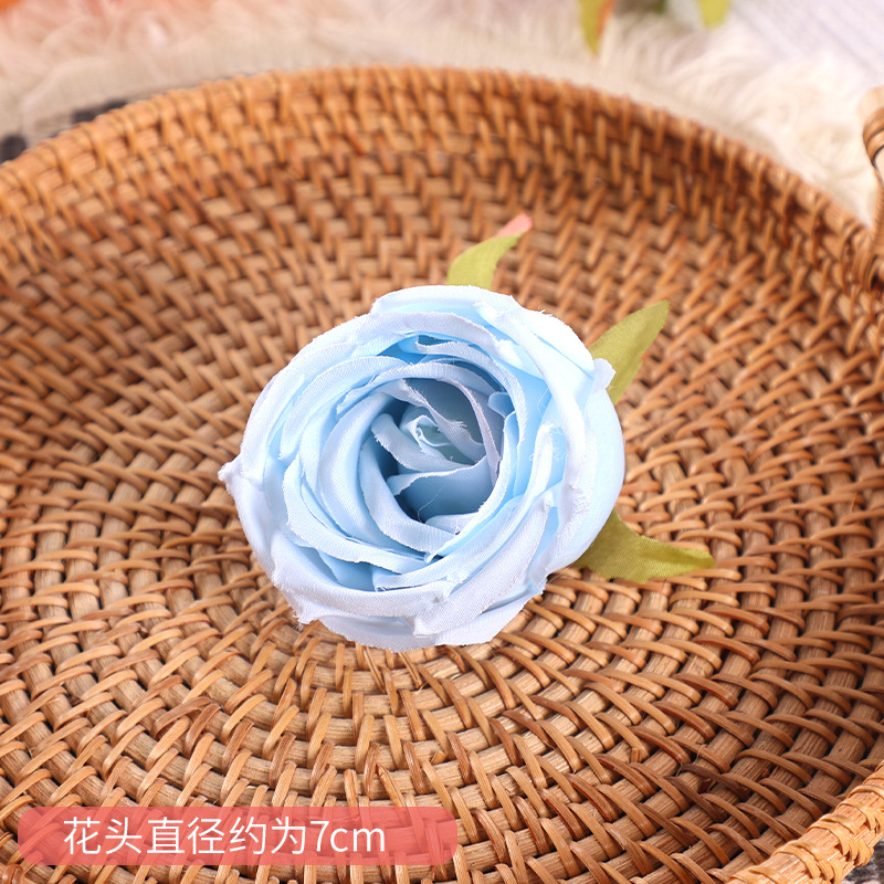 Rose Impériale - Bleu Ciel