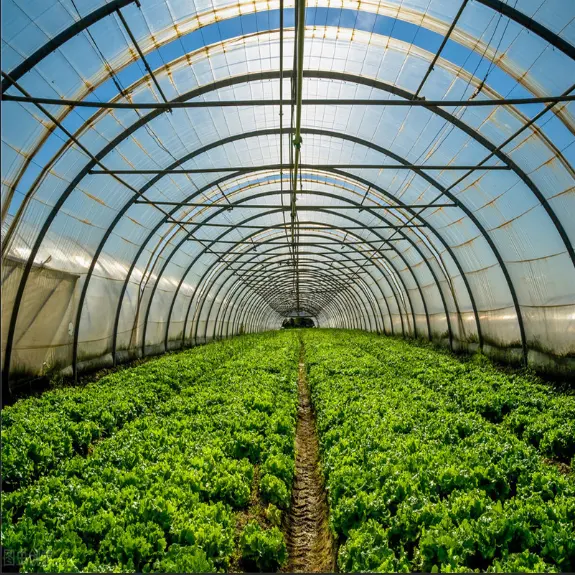 Agriculture Greenhouse Vegetables Farming Equipment Film Plastic Agriculture Green House
