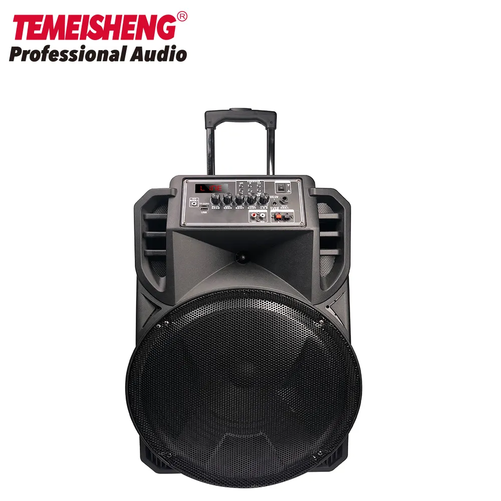 12 polegadas partido caixa som sistema DJ música 12 polegadas sem fio BT estúdio Karaoke Portable Trolley Speaker