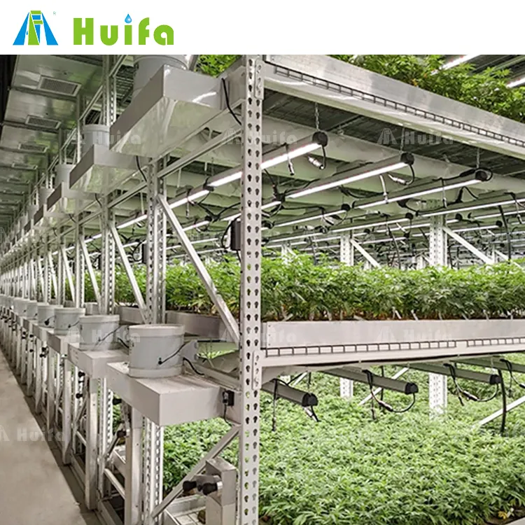 Escalável Indoor Growing Solutions Vertical Grow Racks para Agricultura Interior