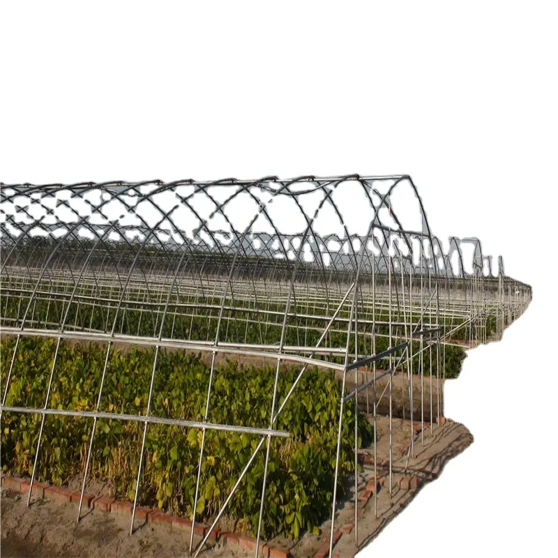 Grande singola campata e Multi campata serra agricola pellicola di plastica per uso giardino