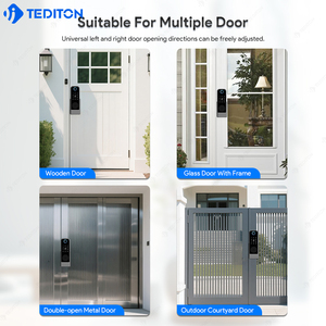 Tediton porta principale ingresso cancello elettrico intelligente serratura della porta lavoro con ALEXA Google Home serratura elettronica del cerchio - Product Image 4