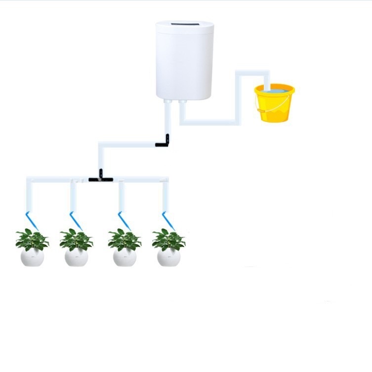 4 têtes