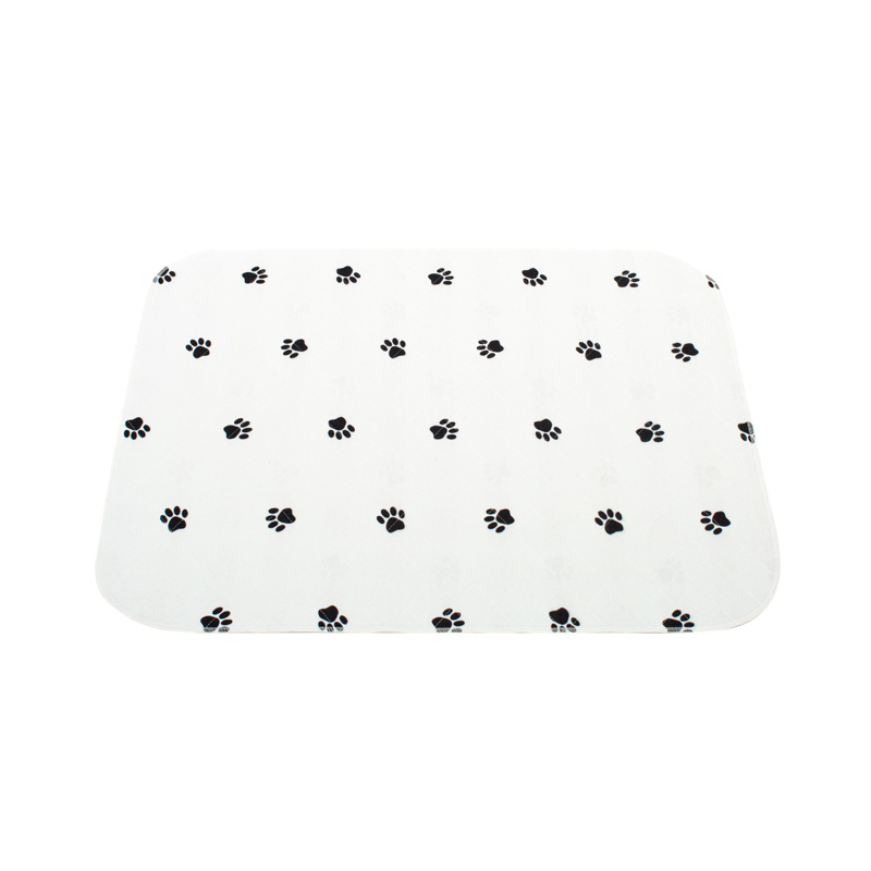 PAW Blanco