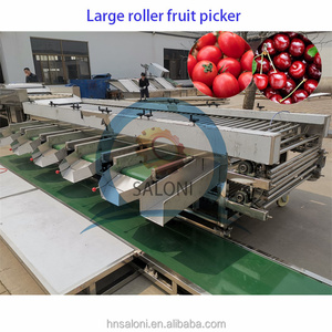 オニオングレーダーとサイズ選別機リンゴクルミ黒コショウフルーツ & 野菜グレーディング機 - Product Image 3