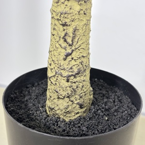 High Quality 180cm <strong>Fiddle</strong> Tree Artificial <strong>Fiddle</strong> Tree Faux Green Plant With Pot Artificial Tree for Decoration - Product Image 6