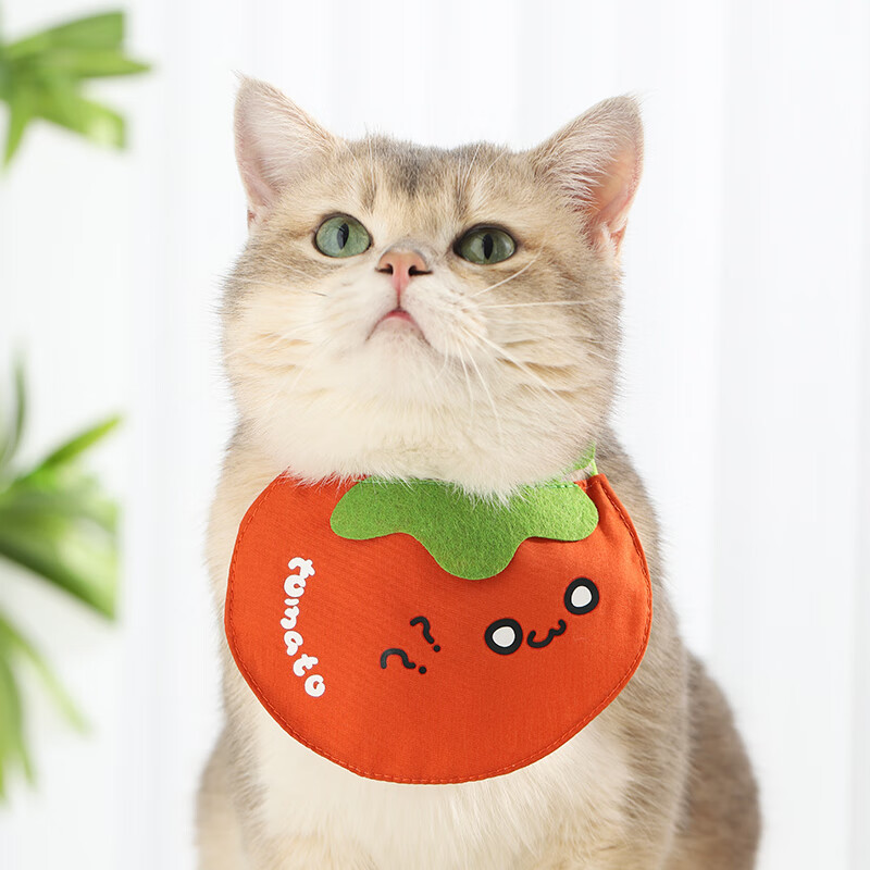 Bavoir tomate petit point d'interrogation