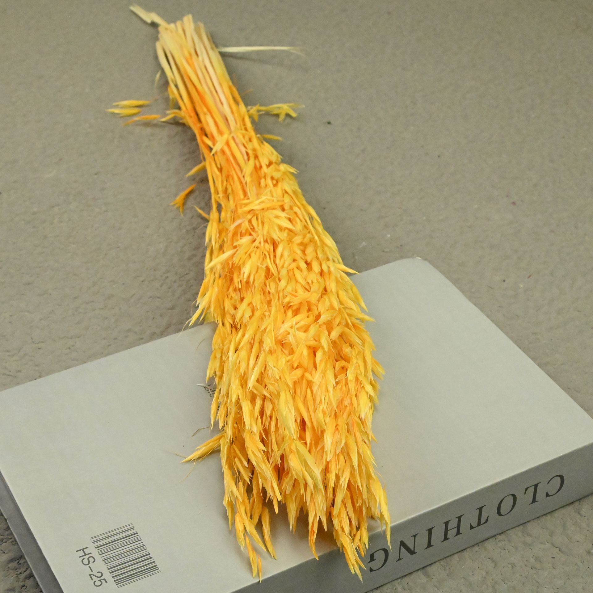 Oat orange