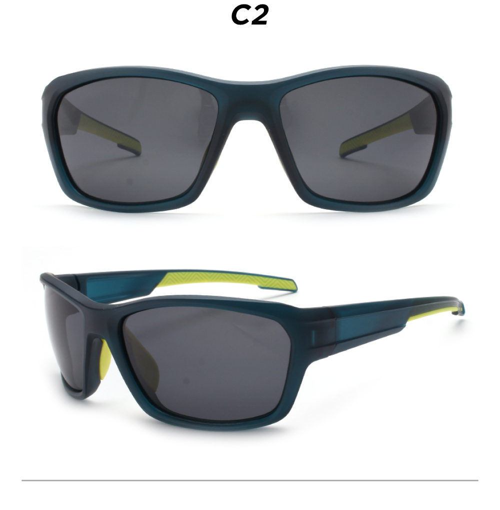 C2-Multi
