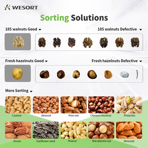 Macadamia Nüsse Sortiermaschine offene Pistazien Nussschale Maschine Mandel Zerkleinerung maschine Farb sortierer - Product Image 2
