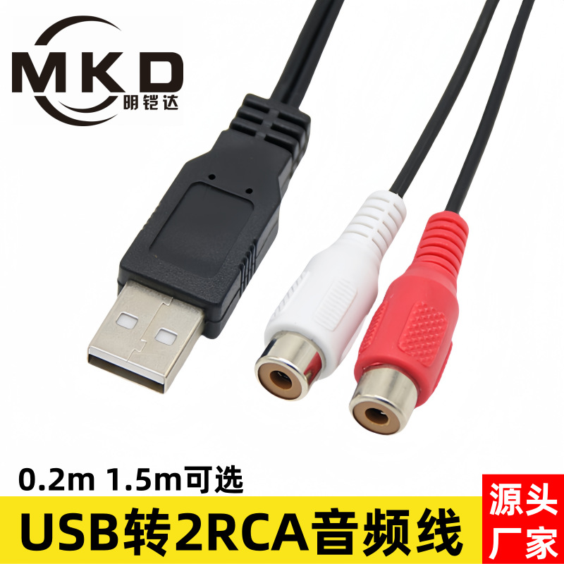 Placa base AM a 2RCA