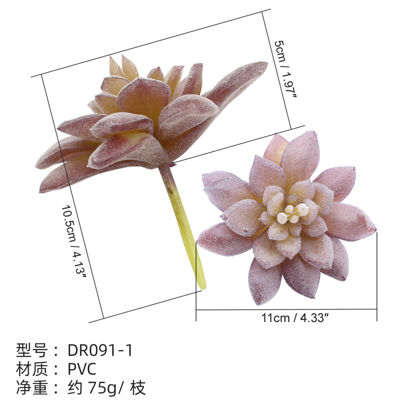 DR091-1