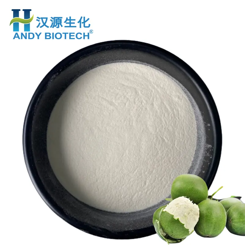 High Quality Monk Fruit Sweetener Sugar Substitute Mogroside V 50% Powder Organic Lo Han Guo Monk Fruit Extract Powder