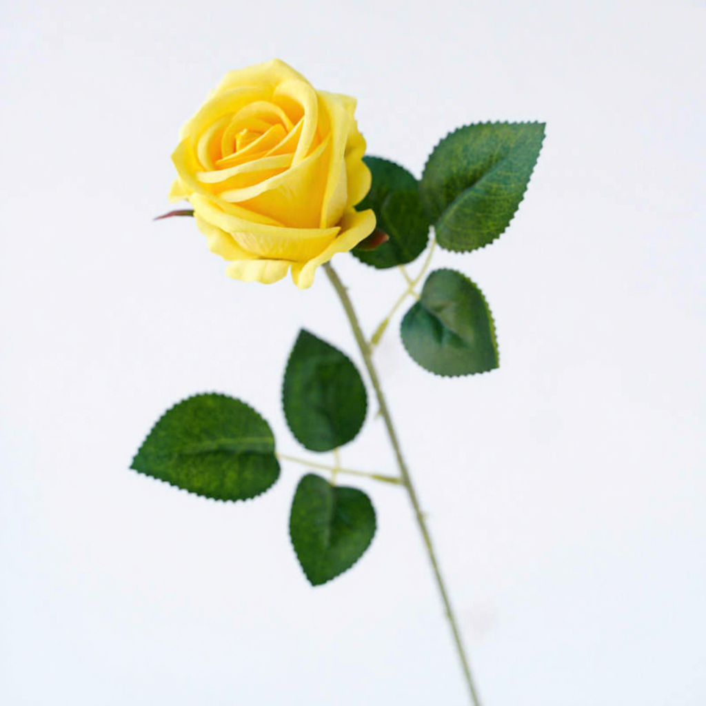 Giallo