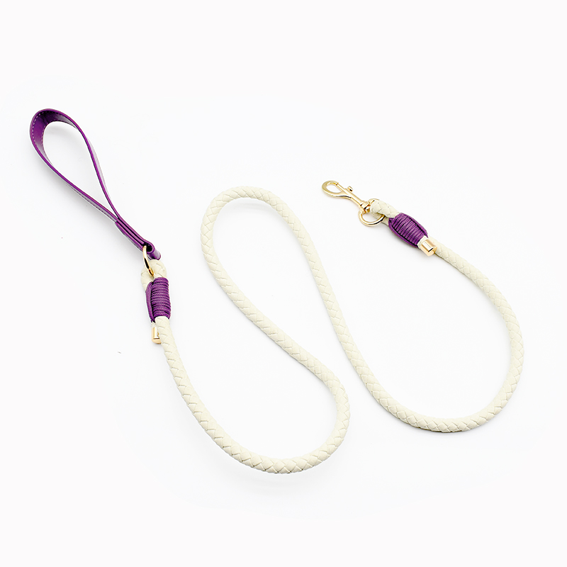 Laisse Violet