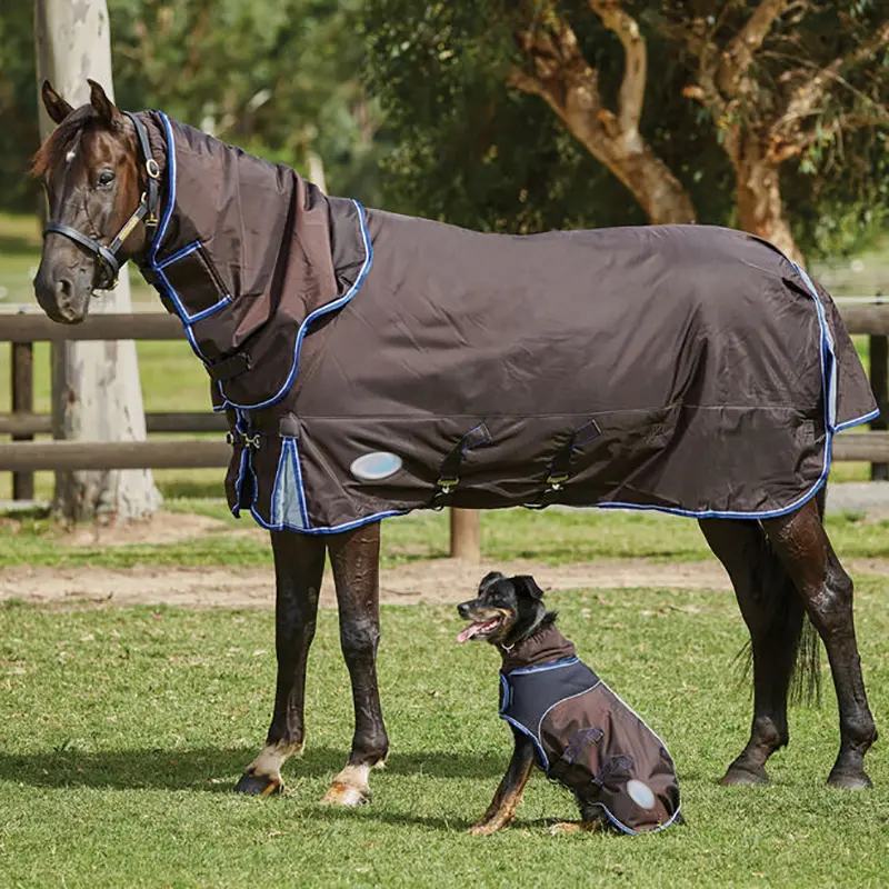 卸売カスタマイズ馬の敷物ターンアウト安定したコンボ乗馬馬毛布 & 高品質犬のコートペット服