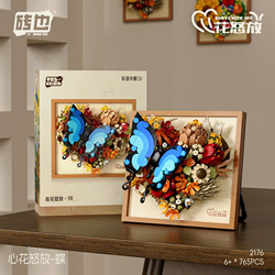 2176 cadre photo papillon ravi