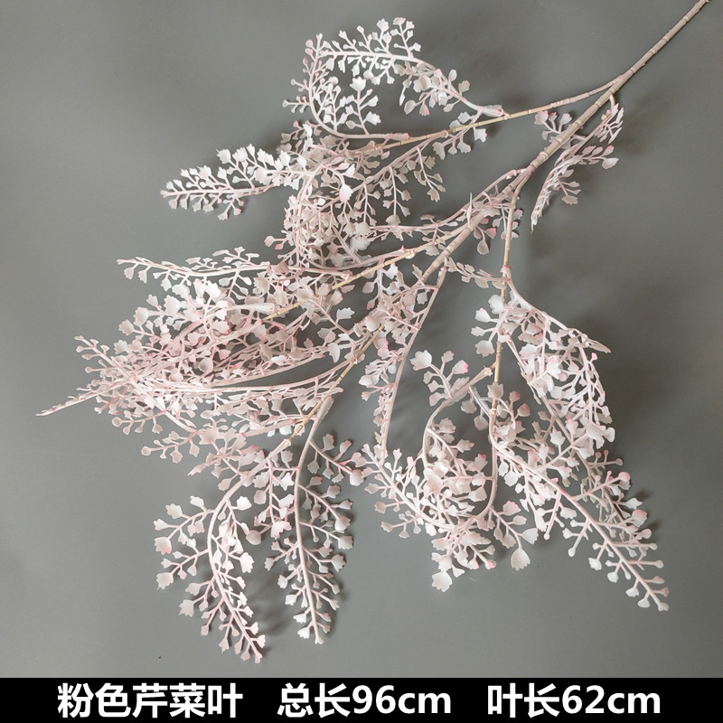 Pink celery leaves