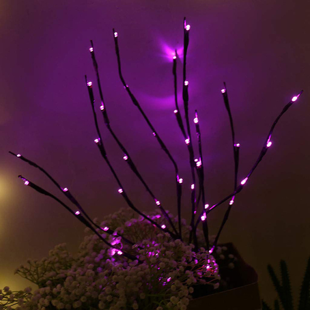 Pourpre
