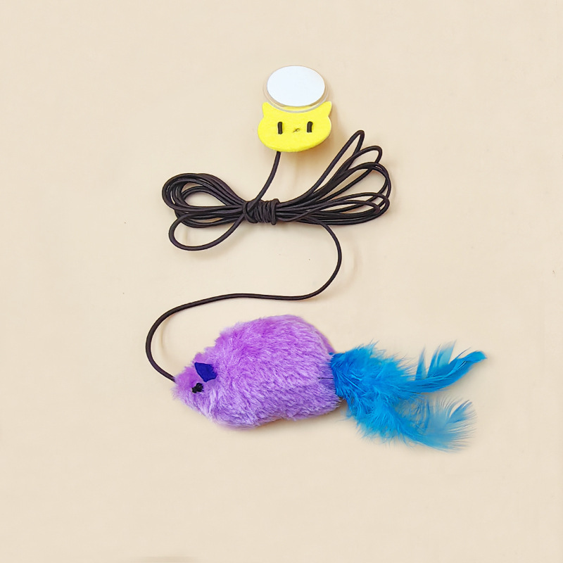 Souris parlant de physique violette