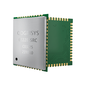 RTL8822CS-VS <strong>wifi</strong> <strong>module</strong> 866Mbps speed <strong>with</strong> ble5.0 <strong>interface</strong> <strong>wifi</strong> <strong>module</strong> dual antenna <strong>wifi</strong> <strong>modules</strong> - Product Image 3