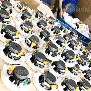 20W 5英寸HiFi有源扩音天花板扬声器，带数字功率放大器模块，用于远程公共广播系统 - Product Image 6