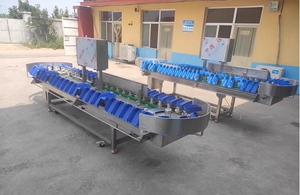 Fruit <strong>and</strong> Vegetable Weighing <strong>and</strong> <strong>Sorting</strong> <strong>Machine</strong> - Product Image 4