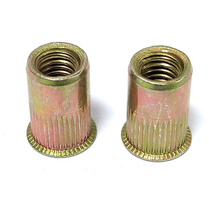 Open End Ribbed <strong>Rivet</strong> <strong>Nut</strong> Flat Head Yellow Zinc Plated Steel <strong>AVK</strong> <strong>Nut</strong> Type