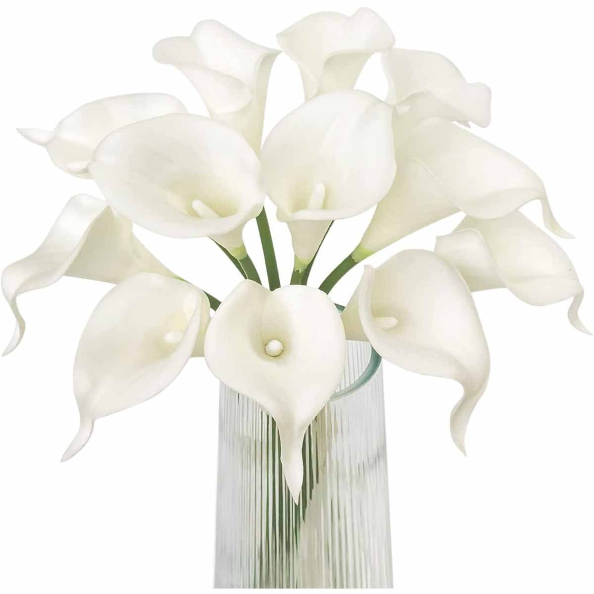 Blanco con centro blanco
