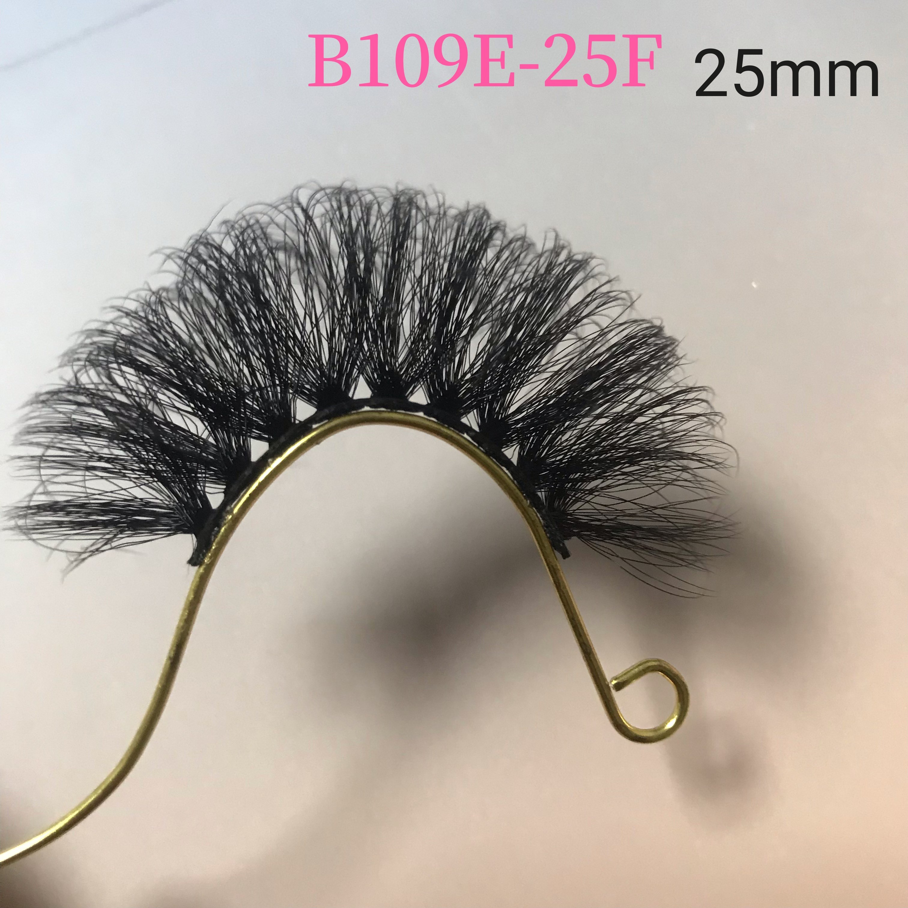 B109E-25F