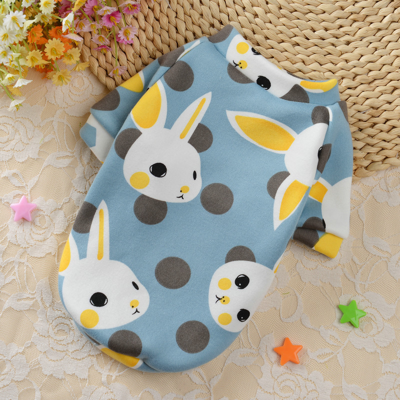 Gros lapin bleu