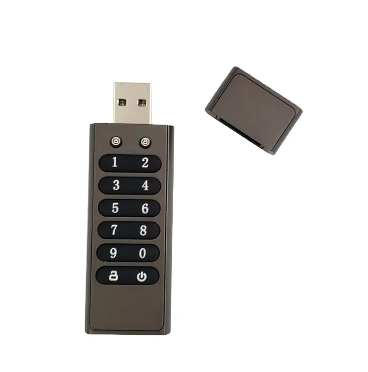 Clé USB cryptée de haute qualité 4 8 16 32 64 128 Go 8 Go Mémoire par mot de passe Clé USB Clé sécurisée Logo personnalisé Clé USB