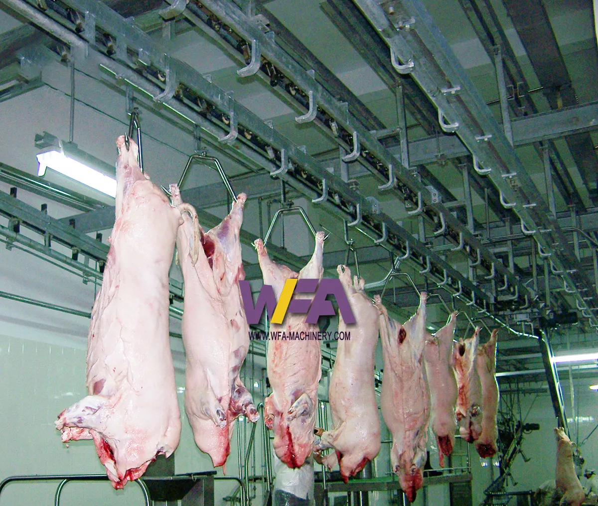 Wfa Kleine Schaal Abattoir Apparatuur 50 Varken Vlees Verwerking Slaughterhouse Apparatuur Voor Compleet Varken Slachten Lijn Ontwerp