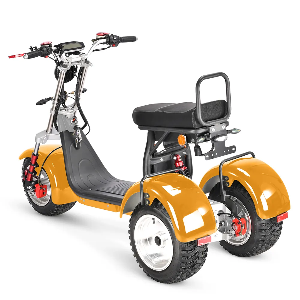 Pologne tricycle électrique scooter avec pédale citycoco COC dropshipping tricycle ebike 4000W moto à trois roues