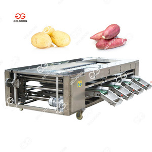 Length <strong>Grading</strong> <strong>Machine</strong> 5MtHr for Vegetables Such Long Vegetable Corn Sorter <strong>Machine</strong> Sweet Corn <strong>Sorting</strong> <strong>Machine</strong> - Product Image 3