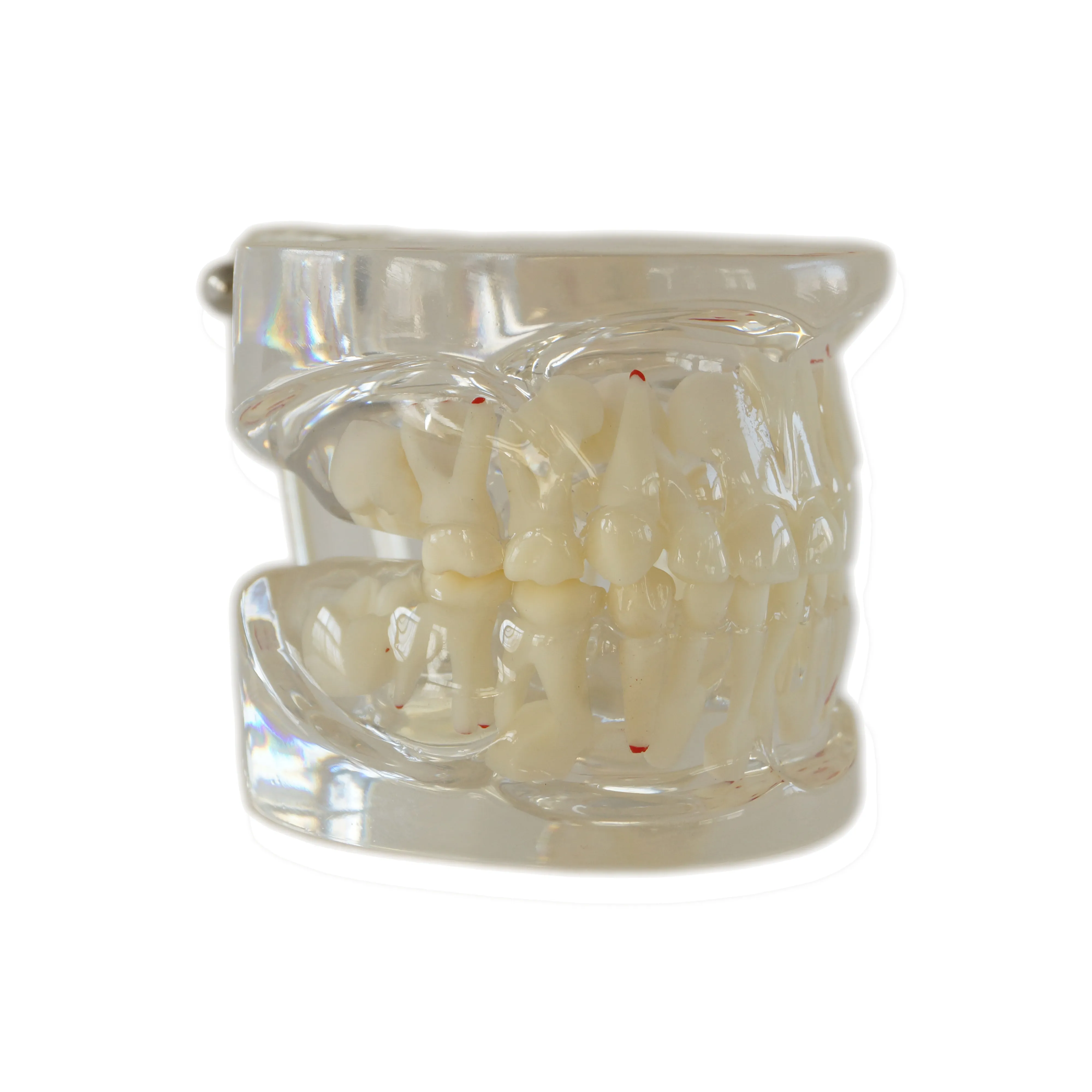 Modelo dentário leite-constante alternativa modelo pathológico, cabine de reparação polpa dental e vedação de segurança