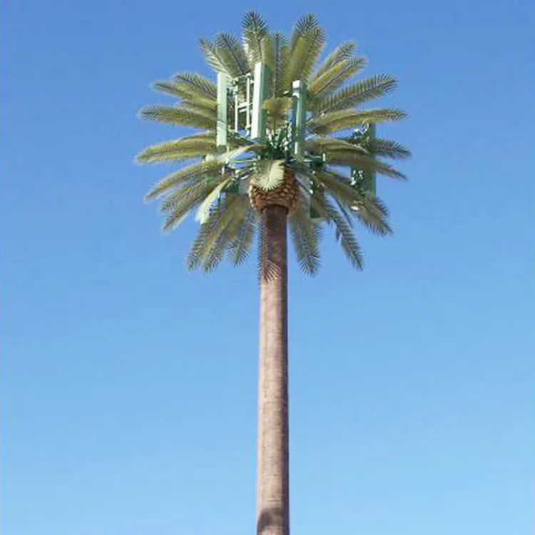 30mサウジアラビアヤシの木柱