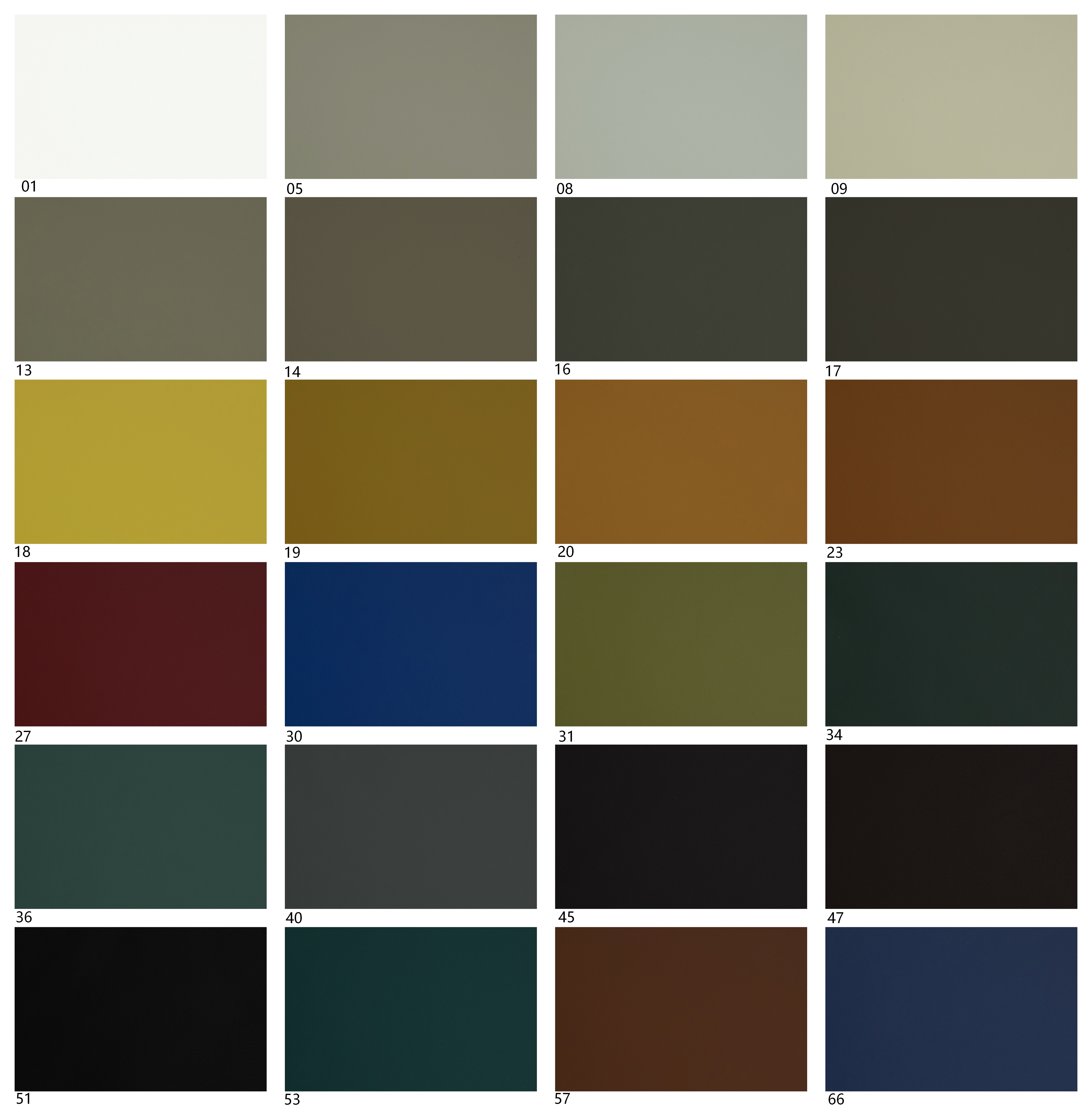 Tarjeta de Color Electrónica de Cuero PU