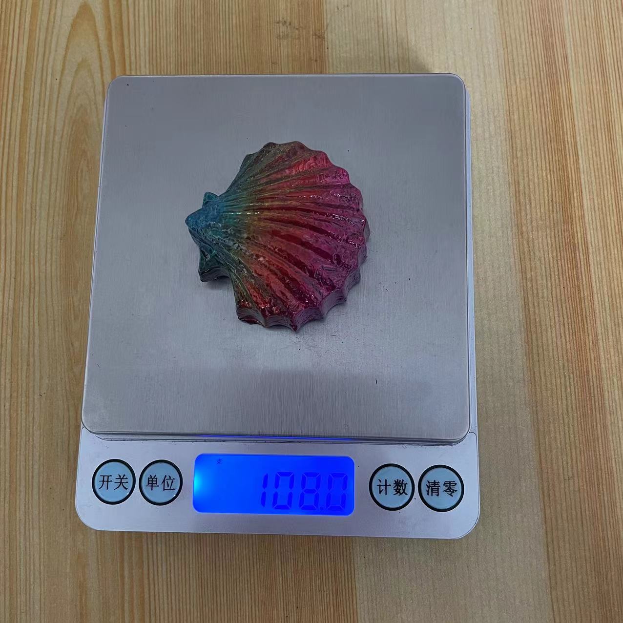 Coquille Saint-Jacques