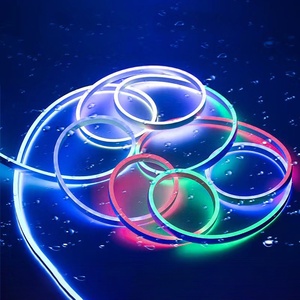 ไฟนีออน LED อัจฉริยะพร้อมรีโมต24Key 6*12มม., แถบไฟนีออนควบคุมด้วยแอพพลิเคชั่นอัจฉริยะสำหรับงานกิจกรรมวันหยุดที่บ้าน - Product Image 2