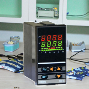 Controlador de termostato PID Teshow TS84E, una salida, controlador de temperatura de 48mm * 96mm, todas las entradas, Material plástico, compatible con OEM y ODM - Product Image 2