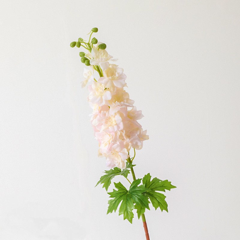 Rose 2