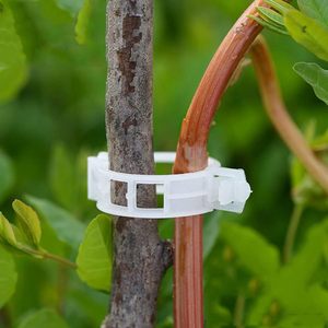 Druivenwijntomaat Groenten <span class=keywords><strong>Trellis</strong></span> Clips Plant Ondersteuning Clips Om Rechtop Te Groeien Maakt Planten Gezonder - Product Image 2