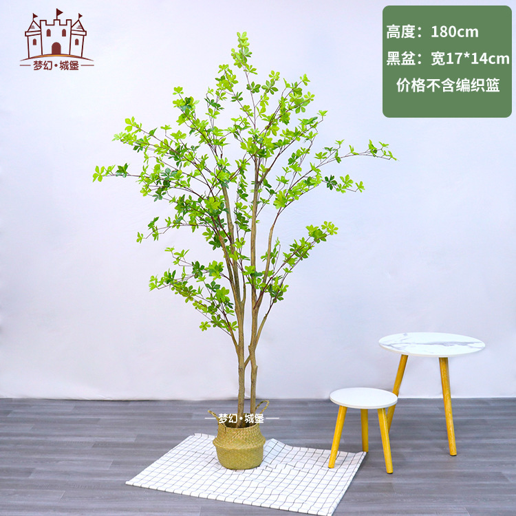 Cloche 180CM