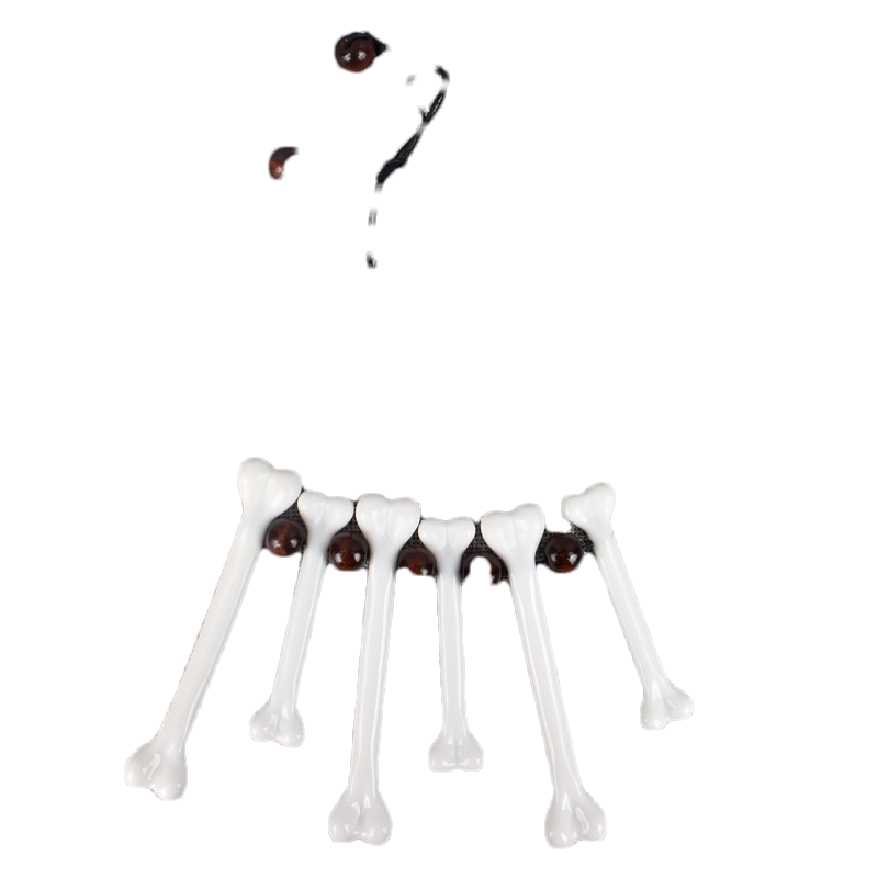 bone necklace