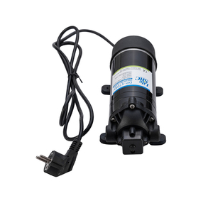 Lifesrc DP-120M 220V AC 5.5LPM 120PSI el püskürtücü pompası yüksek basınçlı su sis pompası araba yıkama için