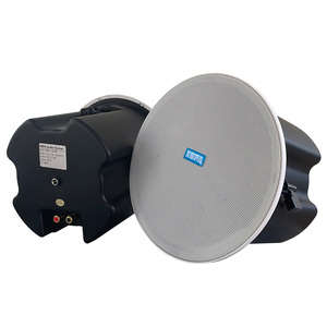 Multicanal Multi Room Powered Sonido estéreo Aplicación Controles WIIM Personalizado Hifi Activo Inalámbrico Bluetooth Wifi Altavoz de techo