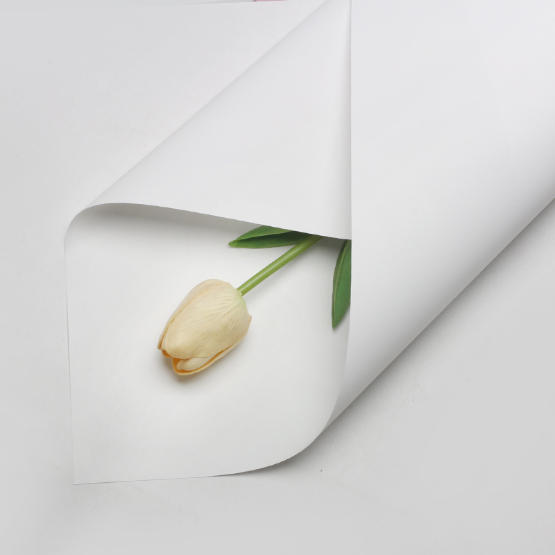 Cream_White