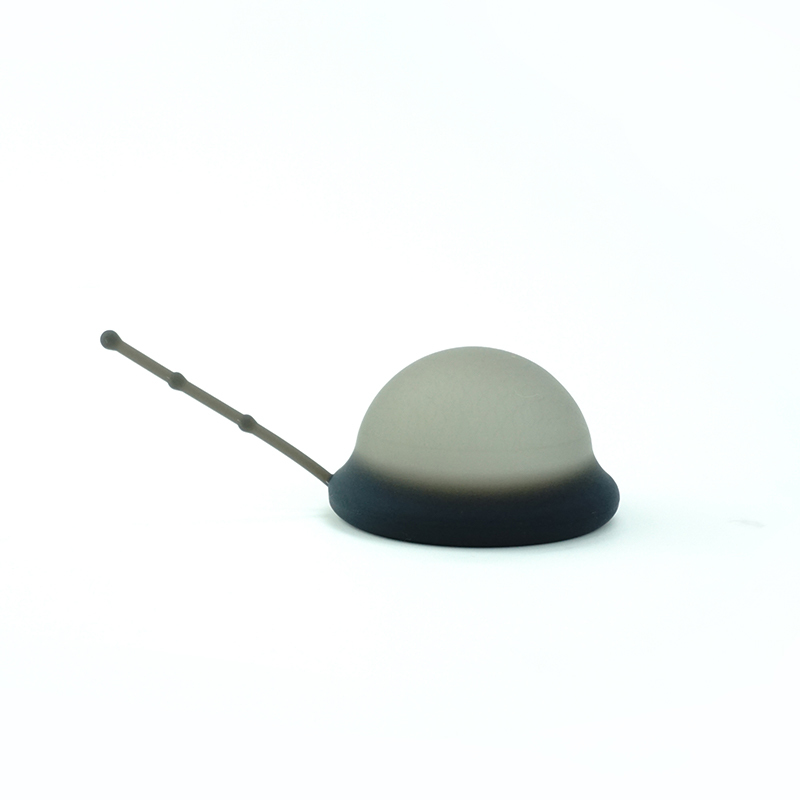 Black Disc in opp bag
