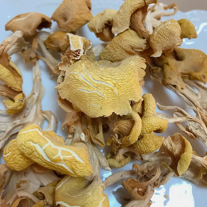 Citrine pleurotus séchée Champignon Chantarelle Yuhuangmo de haute qualité